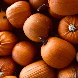 Meet your Posher, Kaitlin